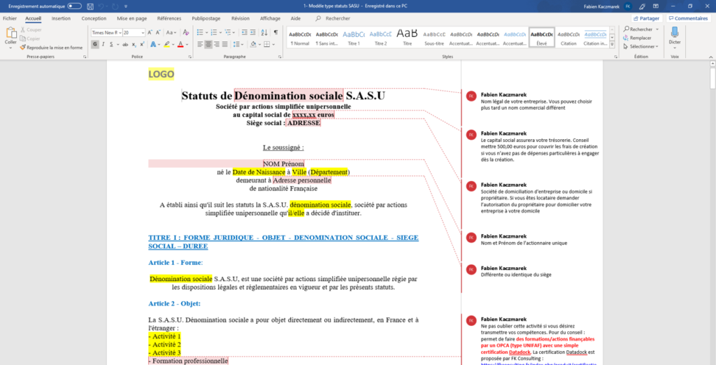 Statuts type SASU commentés